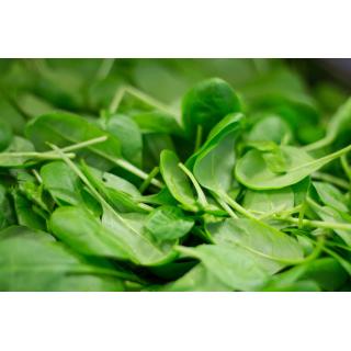 Spinat Salat