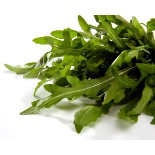 Rucola