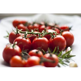 Tomaten, Baylee (Geschmackstomate)
