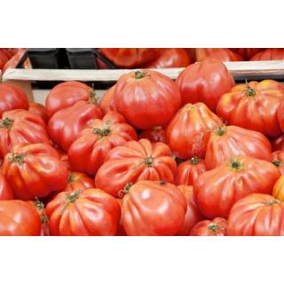 Tomaten, Ochsenherz-