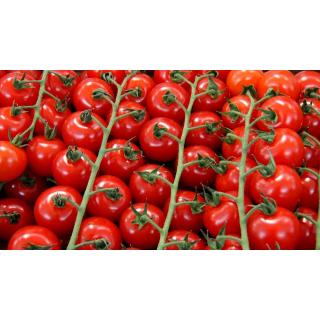 Tomaten, Cherry