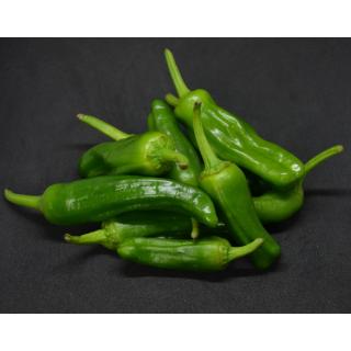 Paprika, Pimiento de Padron