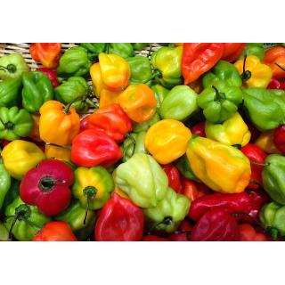 Chili