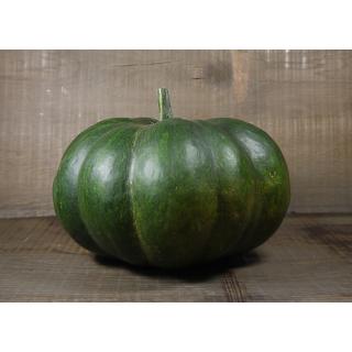Kürbis, Muskat-