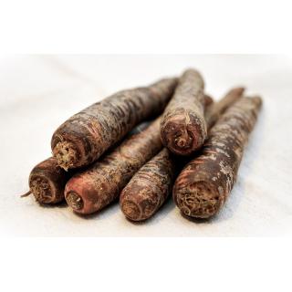 Möhren, violett/bunt