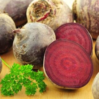 Rote Bete neue Ernte