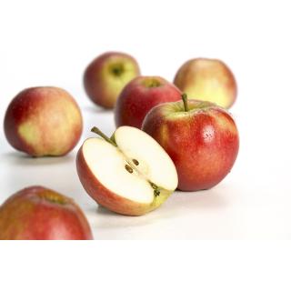 Äpfel, Elstar, Neue Ernte