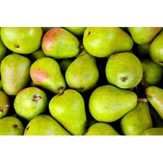 Birnen, Alexander Lukas