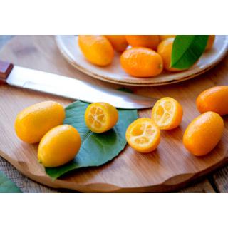 Kumquatt