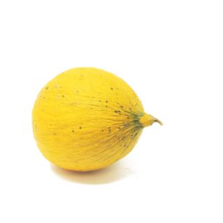 Honigmelone ''Thrakis'', sehr lecker