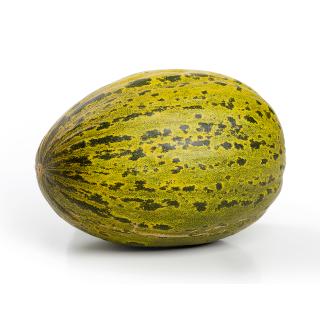 Melonen Honig "Piel de Sapo"
