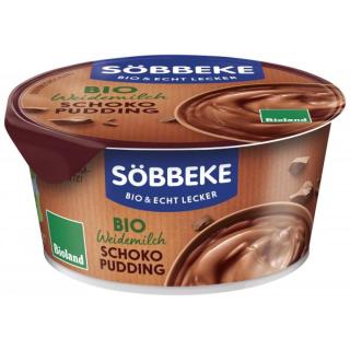 Pudding Schoko