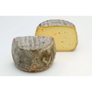 Tommette de Yenne