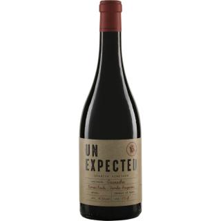 UNEXPECTED Garnacha Tinto 2019 Pago Ayles
