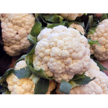 Blumenkohl, kg