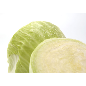 Weißkohl neue Ernte
