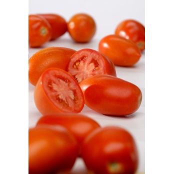 Tomaten, Roma-