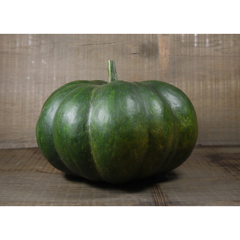 Kürbis, Muskat-