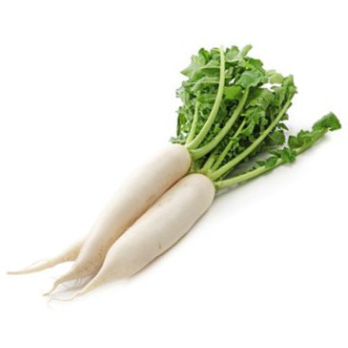 Rettich, weiß, kg