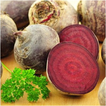Rote Bete neue Ernte