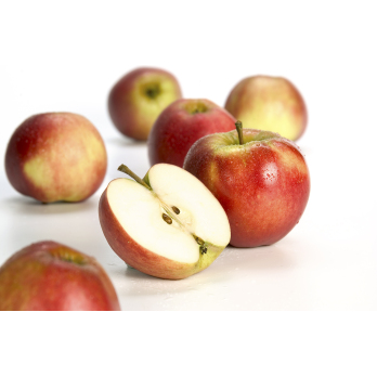 Äpfel, Elstar, Neue Ernte