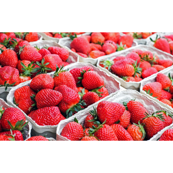Erdbeeren 500g Biolandhof Seemann