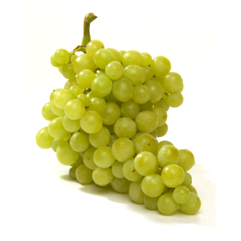 Trauben, weiß ''Italia''