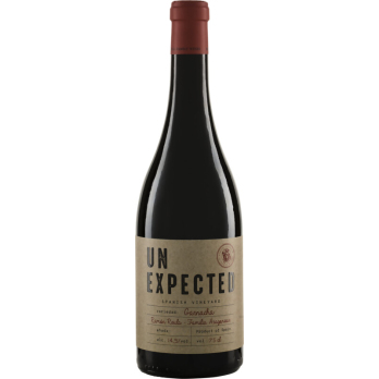 UNEXPECTED Garnacha Tinto 2019 Pago Ayles
