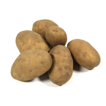 Kartoffeln, festk. ''Annabelle''