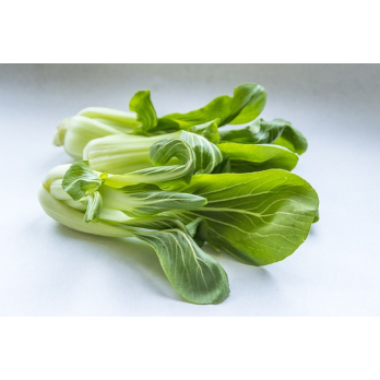 Pak Choy