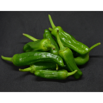 Paprika, Pimiento de Padron