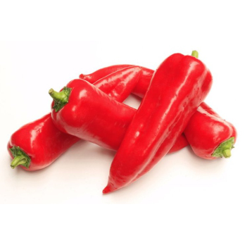 Paprika, spitz, rot