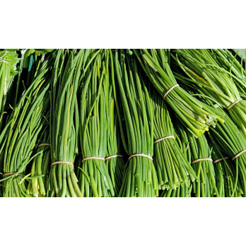 Kräuter-Bd. Schnittlauch