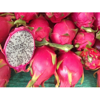 Drachenfrucht, Pitahaya, kg