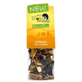 Waldpilze