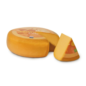 Gouda Möhre